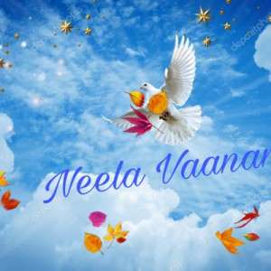 Neela Vaanam Consultancy